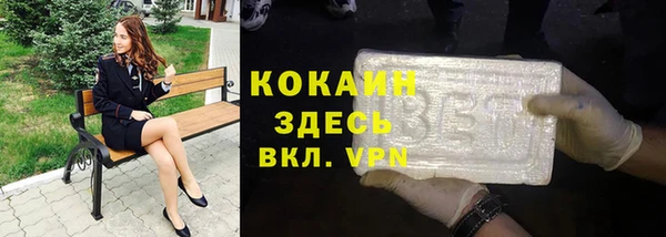гидра Магас