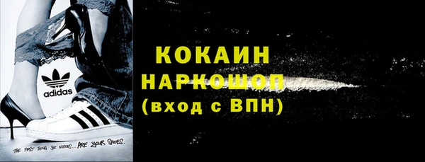 гидра Магас