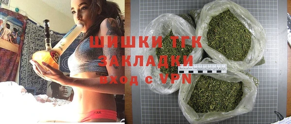 гидра Магас