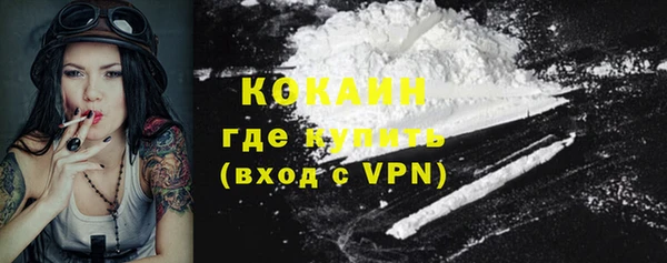 гидра Магас
